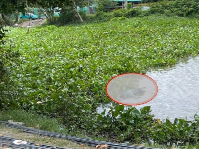 Ảnh bìa bài viết 1004324