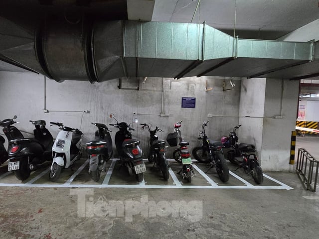 Ảnh bìa bài viết 1004346