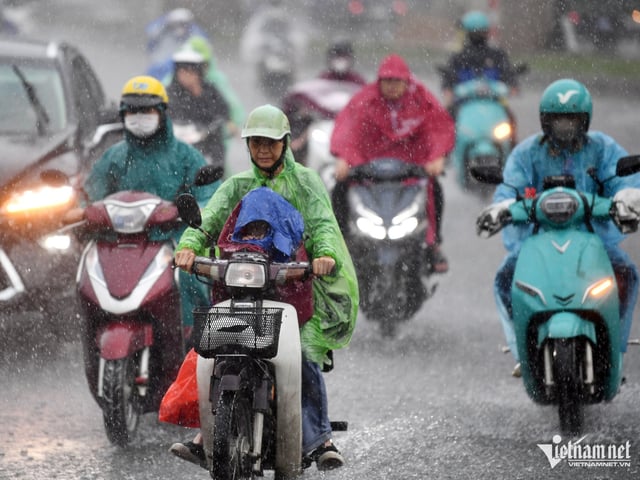 Ảnh bìa bài viết 1004377