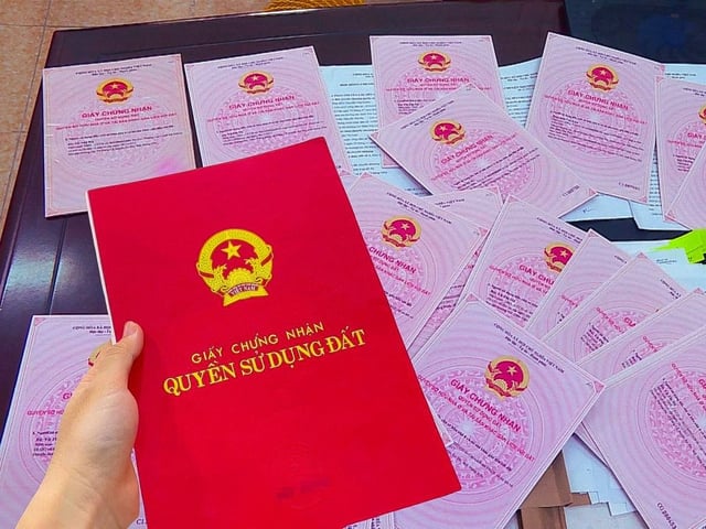 Ảnh bìa bài viết 1004793