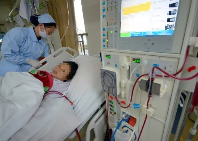 Ảnh bìa bài viết 1004949