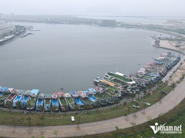 Ảnh bìa bài viết 1005377