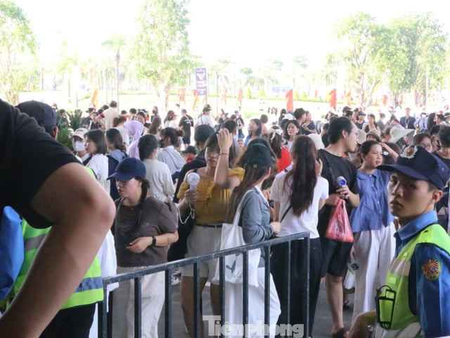 Ảnh bìa bài viết 1005681
