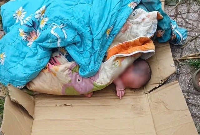 Ảnh bìa bài viết 1005945