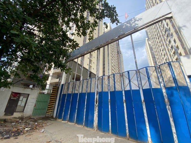 Ảnh bìa bài viết 1006020