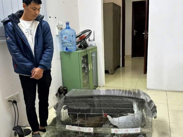 Ảnh bìa bài viết 1006098