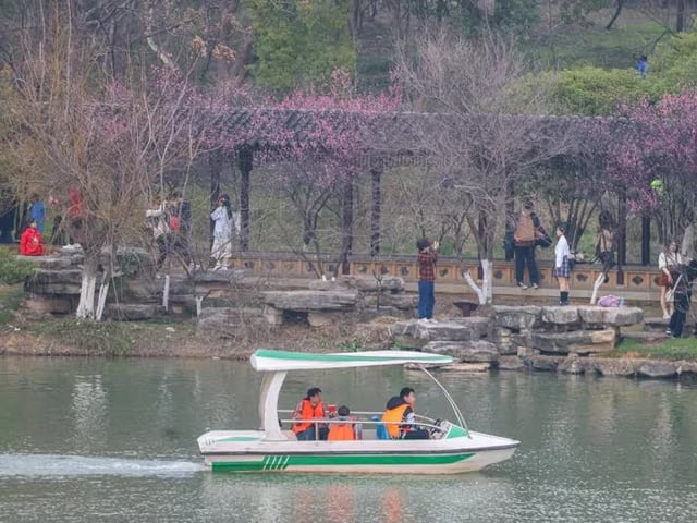 Ảnh bìa bài viết 1006204