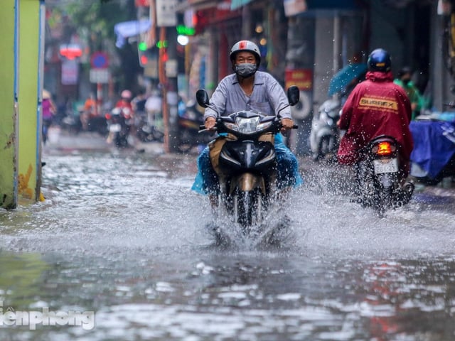 Ảnh bìa bài viết 1006223