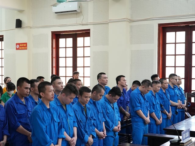 Ảnh bìa bài viết 1006304