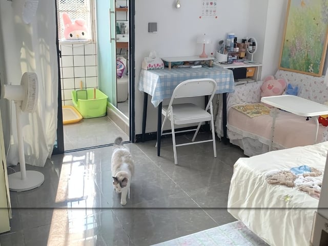 Ảnh bìa bài viết 1006413