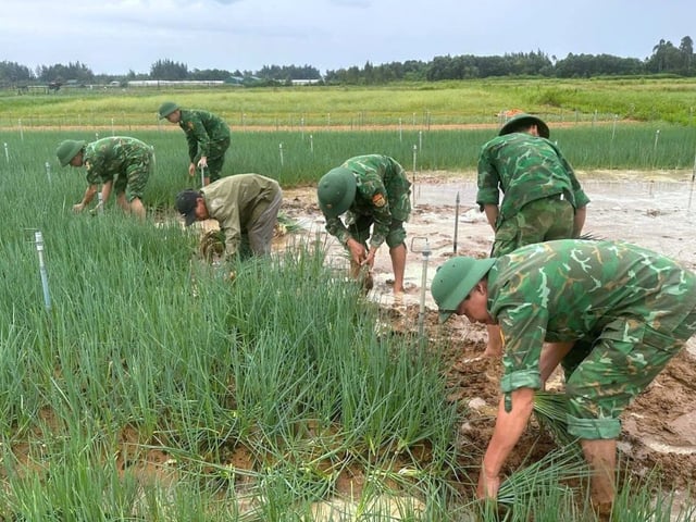 Ảnh bìa bài viết 1006928