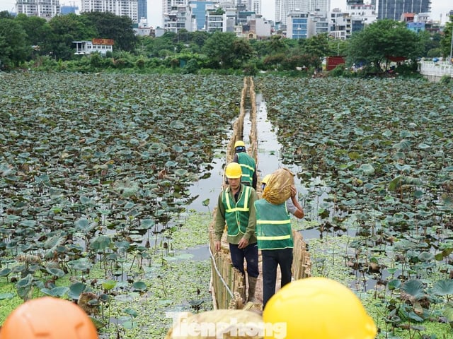 Ảnh bìa bài viết 1006971