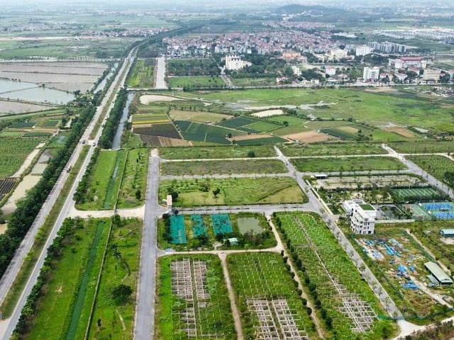 Ảnh bìa bài viết 1007134