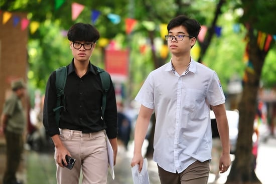 Ảnh bìa bài viết 1007166