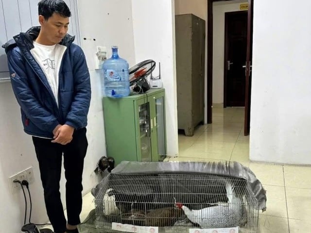 Ảnh bìa bài viết 1007296