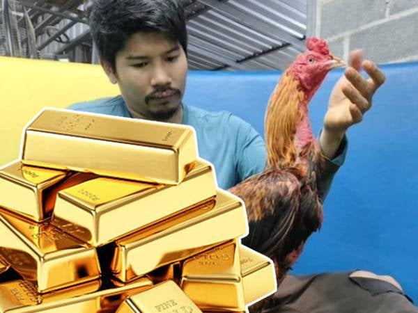 Ảnh bìa bài viết 1007372