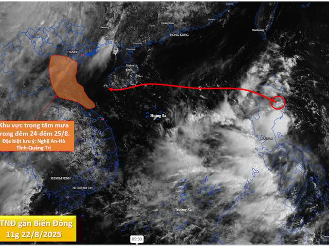 Ảnh bìa bài viết 1007480