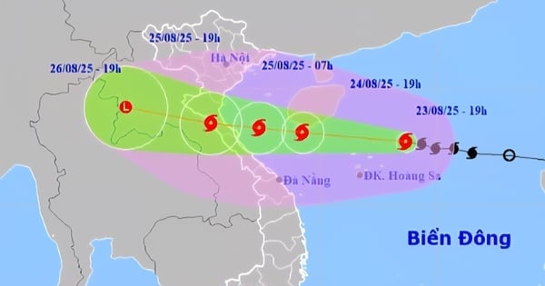 Ảnh bìa bài viết 1007676