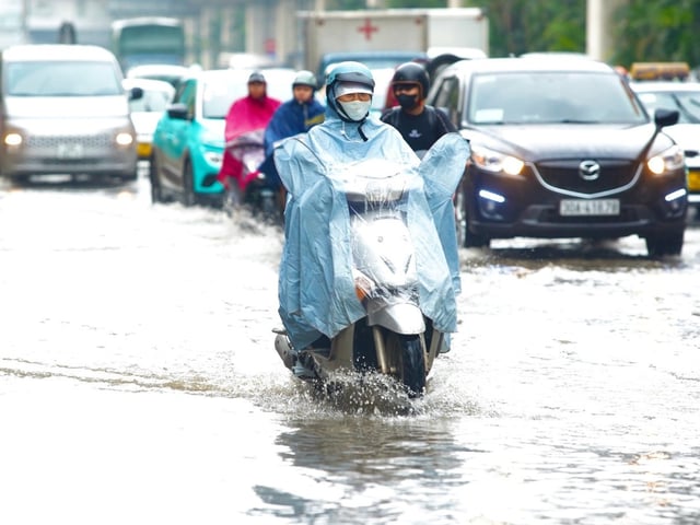 Ảnh bìa bài viết 1007721