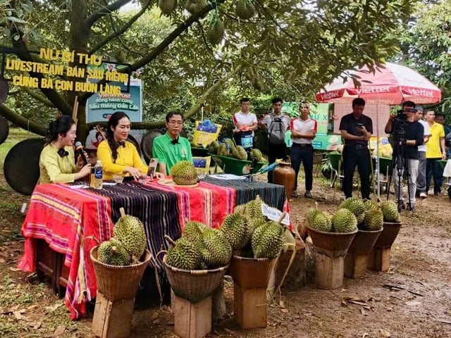 Ảnh bìa bài viết 1007735