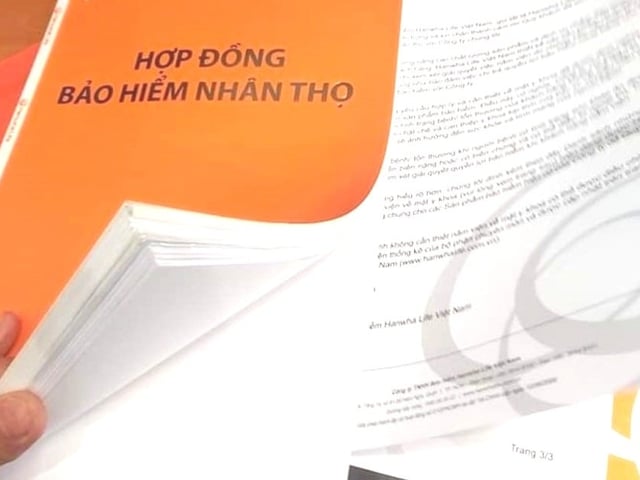 Ảnh bìa bài viết 1007806