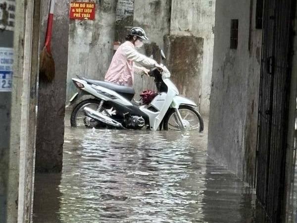 Ảnh bìa bài viết 1008053