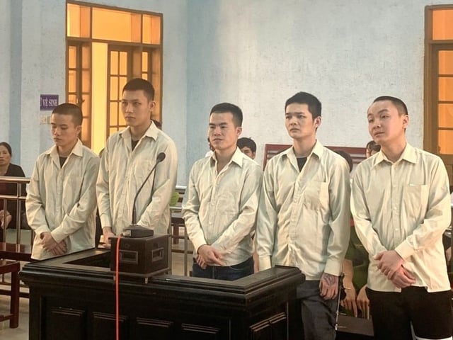 Ảnh bìa bài viết 1008146