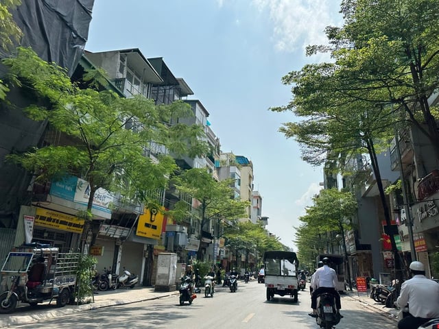 Ảnh bìa bài viết 1008284