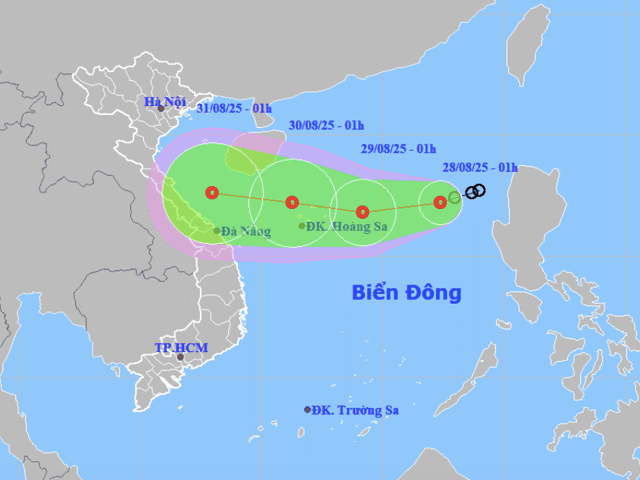 Ảnh bìa bài viết 1008295
