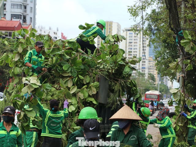 Ảnh bìa bài viết 1008314