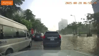 Ảnh bìa bài viết 1008335