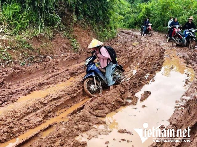 Ảnh bìa bài viết 1008742
