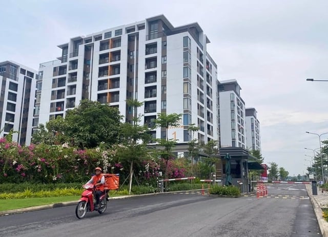 Ảnh bìa bài viết 1009174