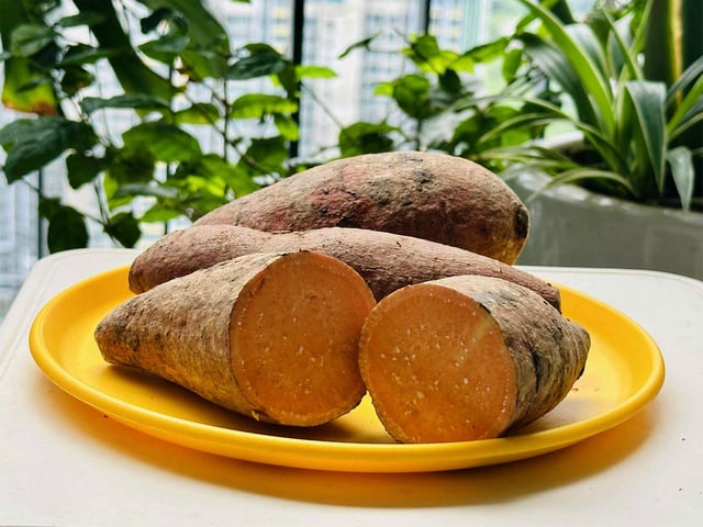 Ảnh bìa bài viết 1009275