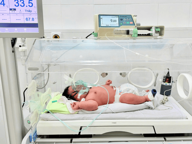Ảnh bìa bài viết 1009412
