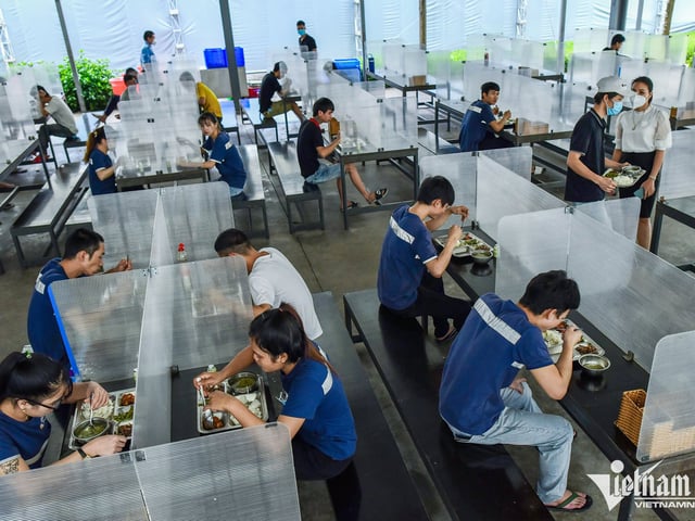 Ảnh bìa bài viết 1009428