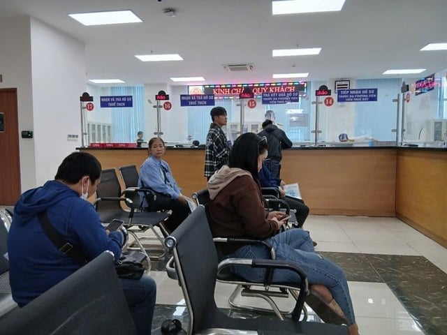 Ảnh bìa bài viết 1009648