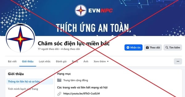 Ảnh bìa bài viết 1010248