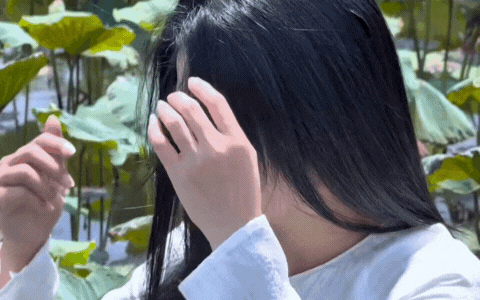 Ảnh bìa bài viết 1010265