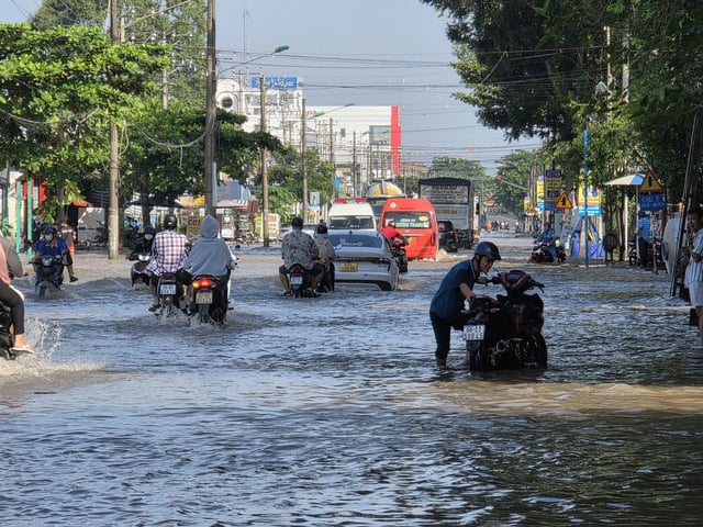 Ảnh bìa bài viết 1010395