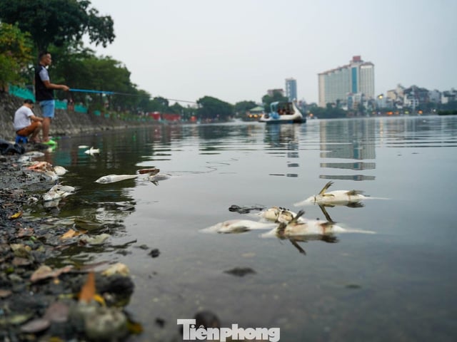 Ảnh bìa bài viết 1010449