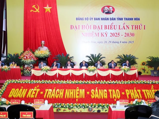 Ảnh bìa bài viết 1010457