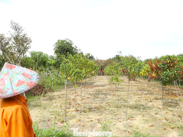 Ảnh bìa bài viết 1010552