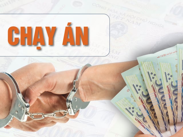 Ảnh bìa bài viết 1010674