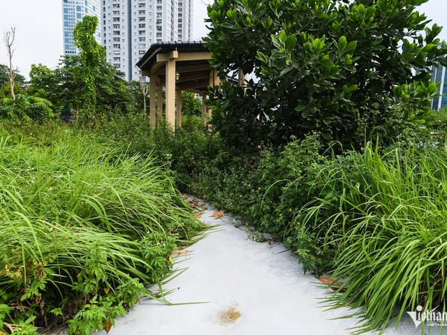 Ảnh bìa bài viết 1011326