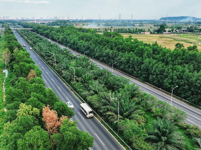 Ảnh bìa bài viết 1011368