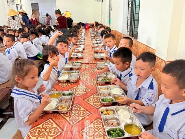 Ảnh bìa bài viết 1011511