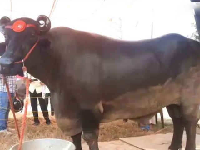 Ảnh bìa bài viết 1011525