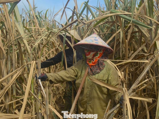 Ảnh bìa bài viết 1011693