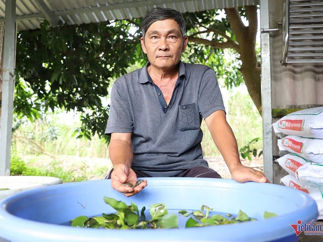 Ảnh bìa bài viết 1011867